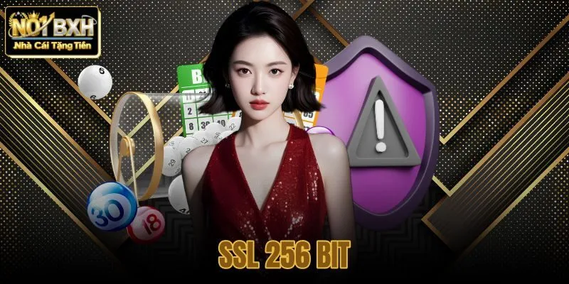 ssl-256-bit
